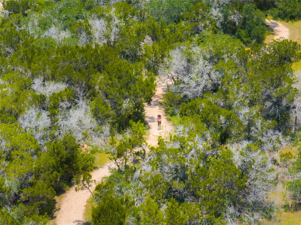 7809 Old Bee Caves Road, Unit 13 Austin, TX 78735 - Photo 19 of 30 a view of a lush green forest with lots of trees
