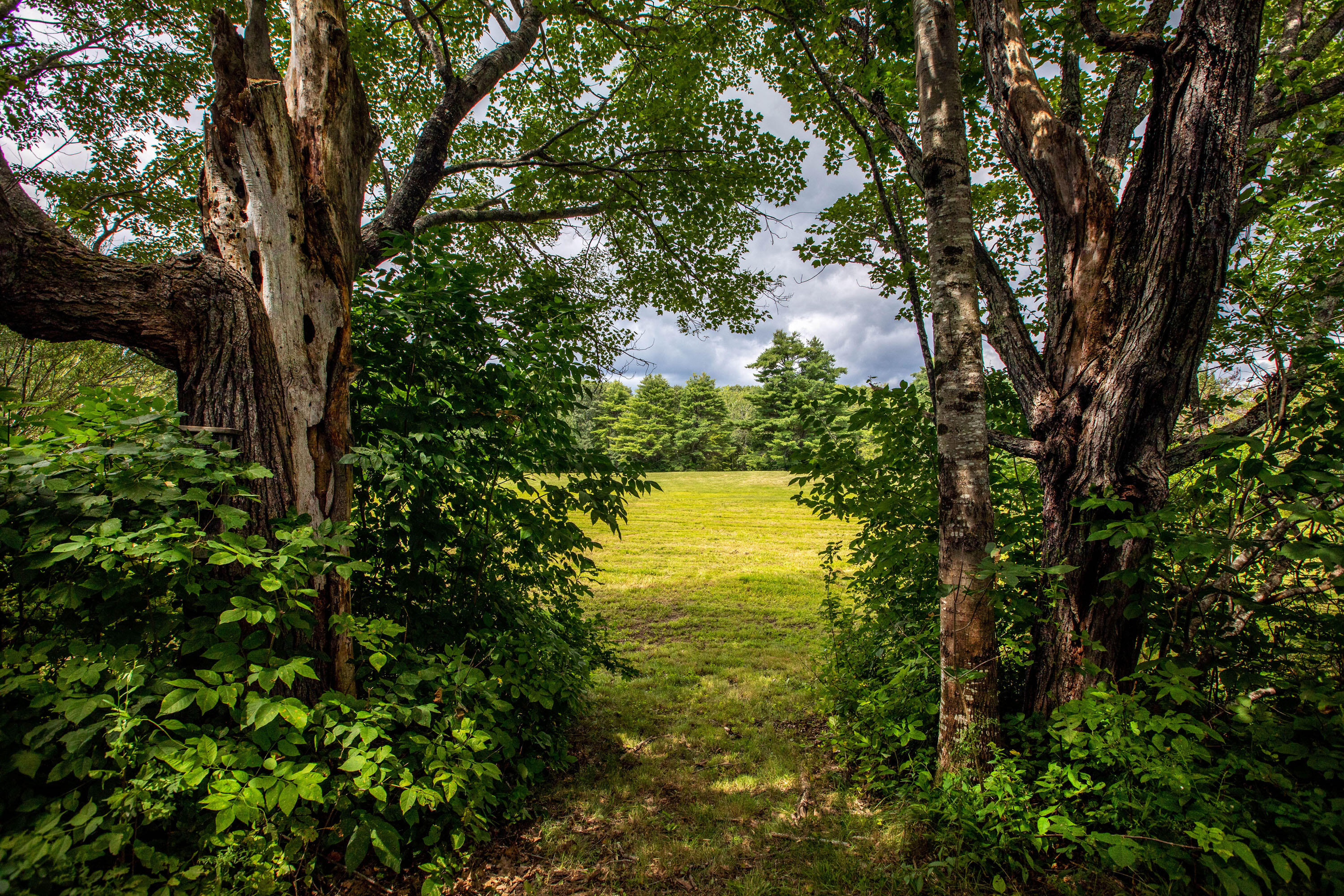 191 Indian Road Wiscasset, ME 04578 - Photo 101 of 123 Indian_Dunbar_046