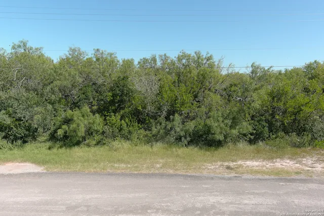 an aerial view of a yard