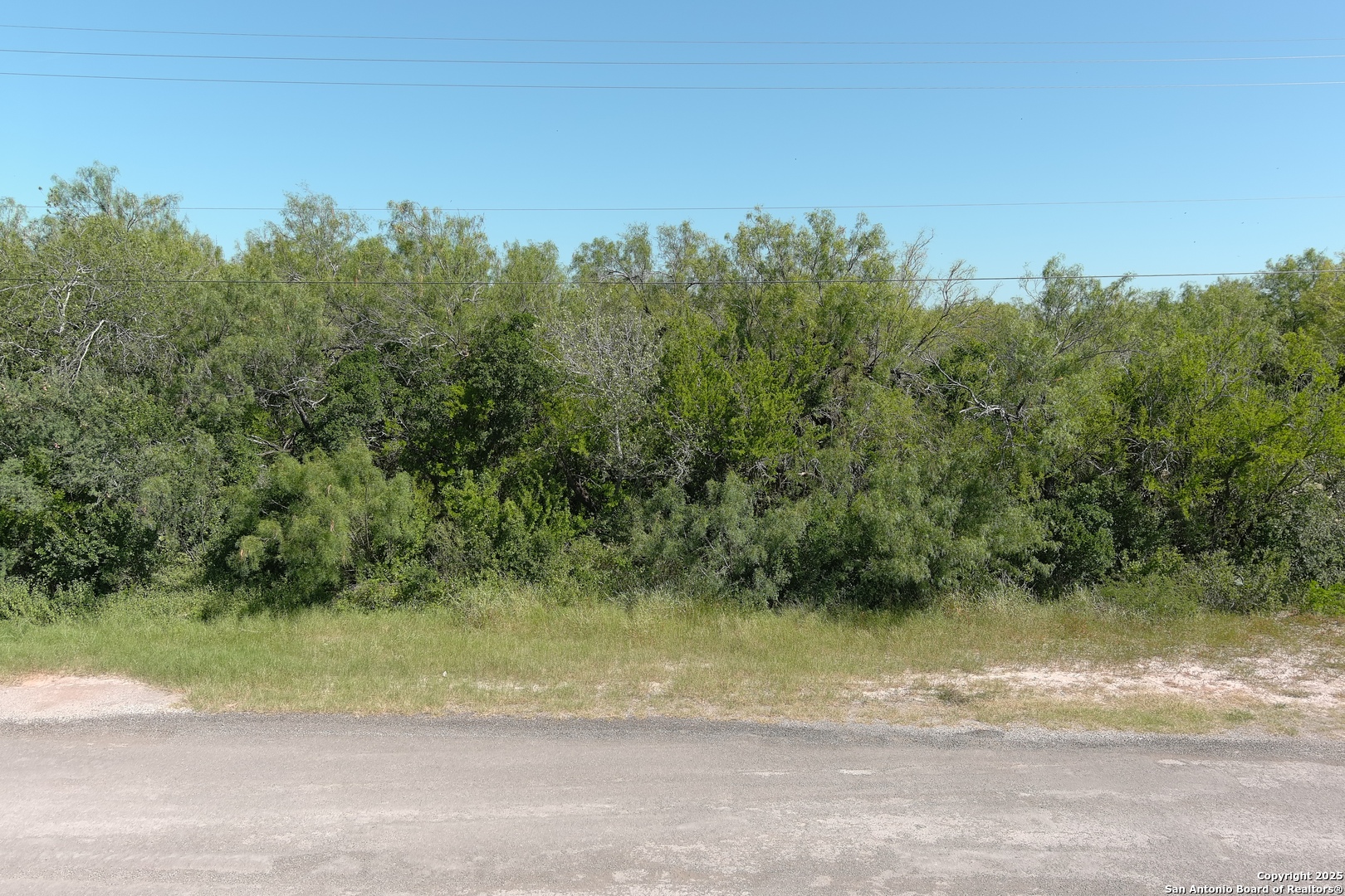 Tbd Flack Street La Pryor, TX 78872 - Photo 4 of 5 a view of a yard with a tree