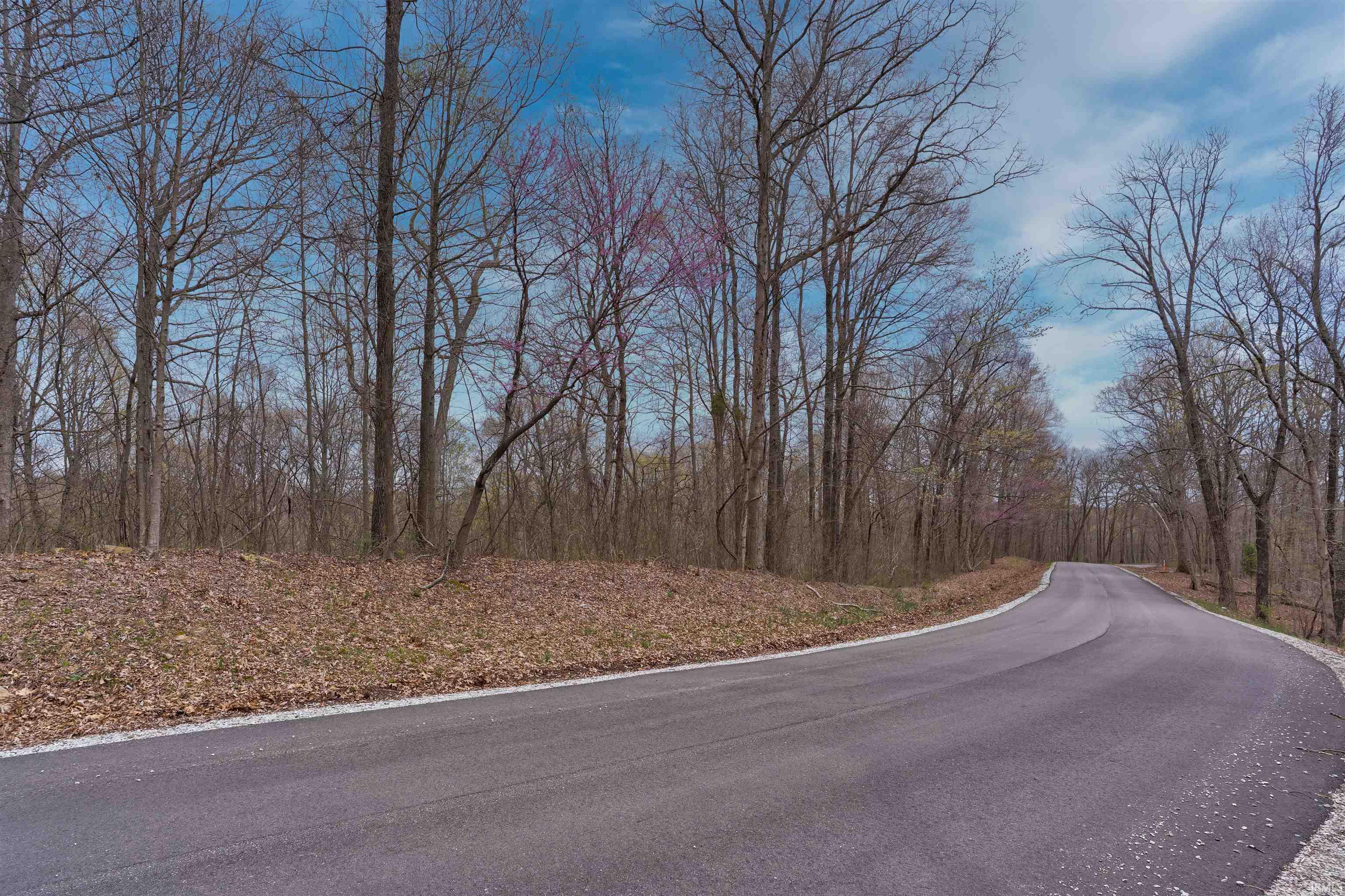 0 Brushy Fork Road Tell City, IN 47586 - Photo 6 of 30
