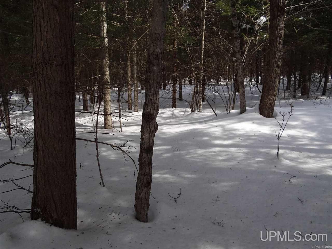 Tbd Dogpatch Road, Unit LOT A Lanse, MI 49946 - Photo 9 of 18