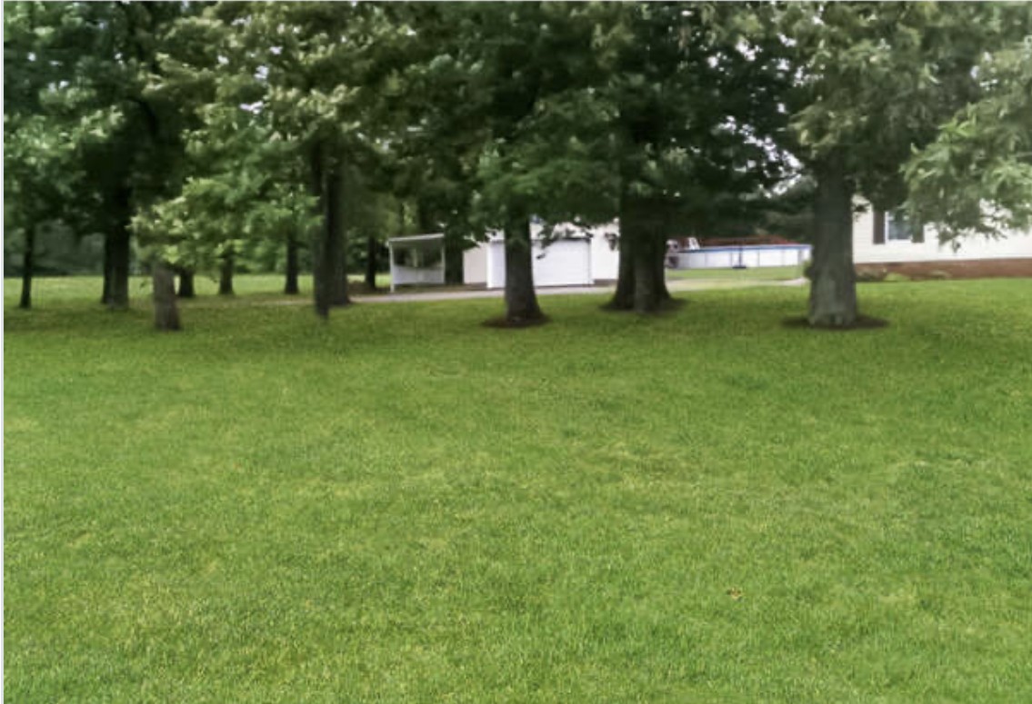 121 Red Top Road Indian Mound, TN 37079 - Photo 18 of 19 a huge green field with lots of trees