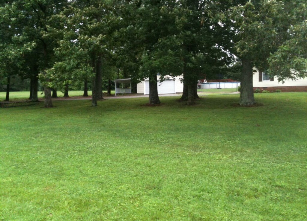 121 Red Top Road Indian Mound, TN 37079 - Photo 19 of 19 a huge green field with lots of trees