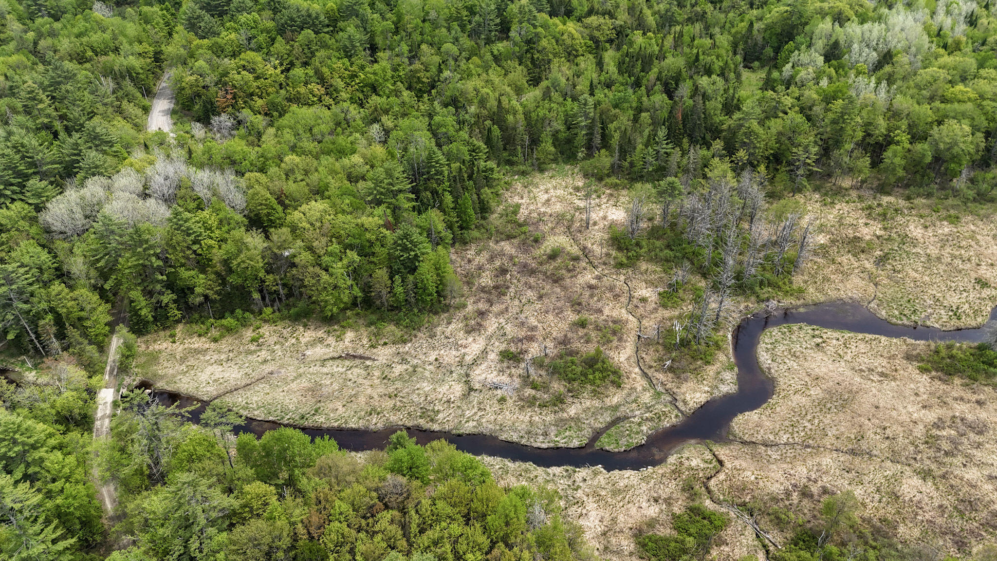 Lot 5 Stream Road Vienna, ME 04360 - Photo 12 of 17 East View