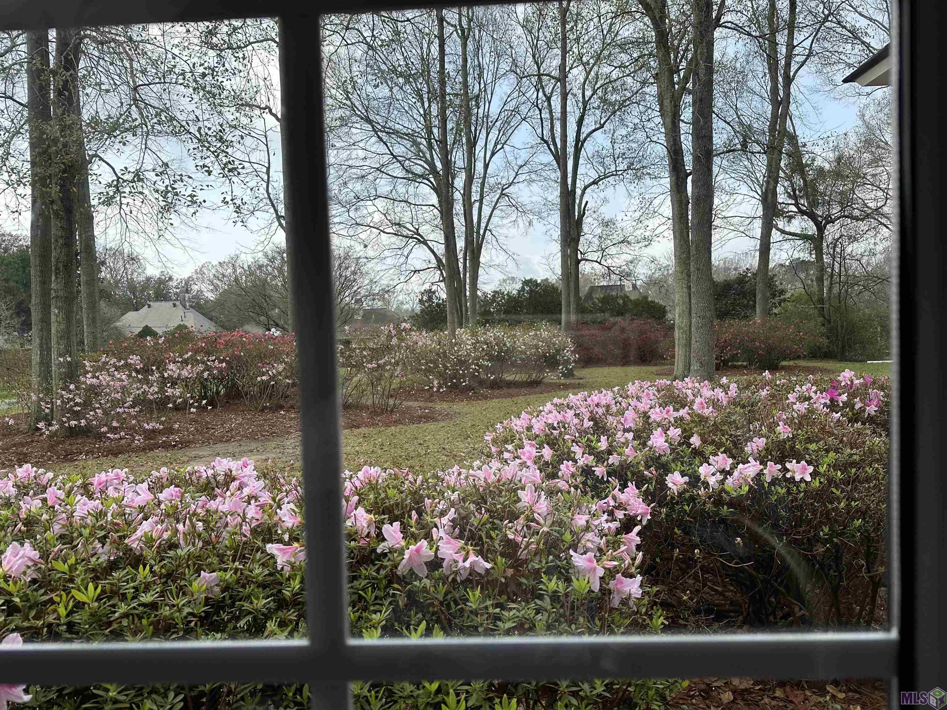 13407 North Amiss Road Baton Rouge, LA 70810 - Photo 37 of 39 This could be your view next Spring!