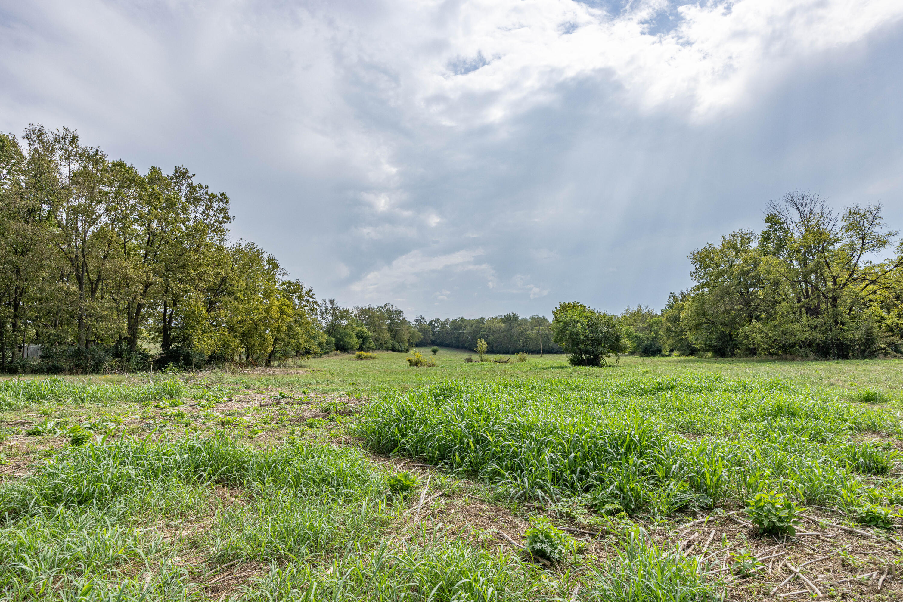 706 Stone Road Paris, KY 40361 - Photo 4 of 18 5B5A9447