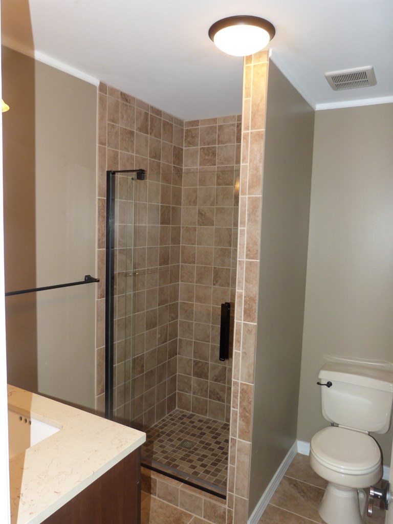 1463 Pittsburgh Road Franklin, PA 16323 - Photo 14 of 32 a bathroom with a shower and a toilet