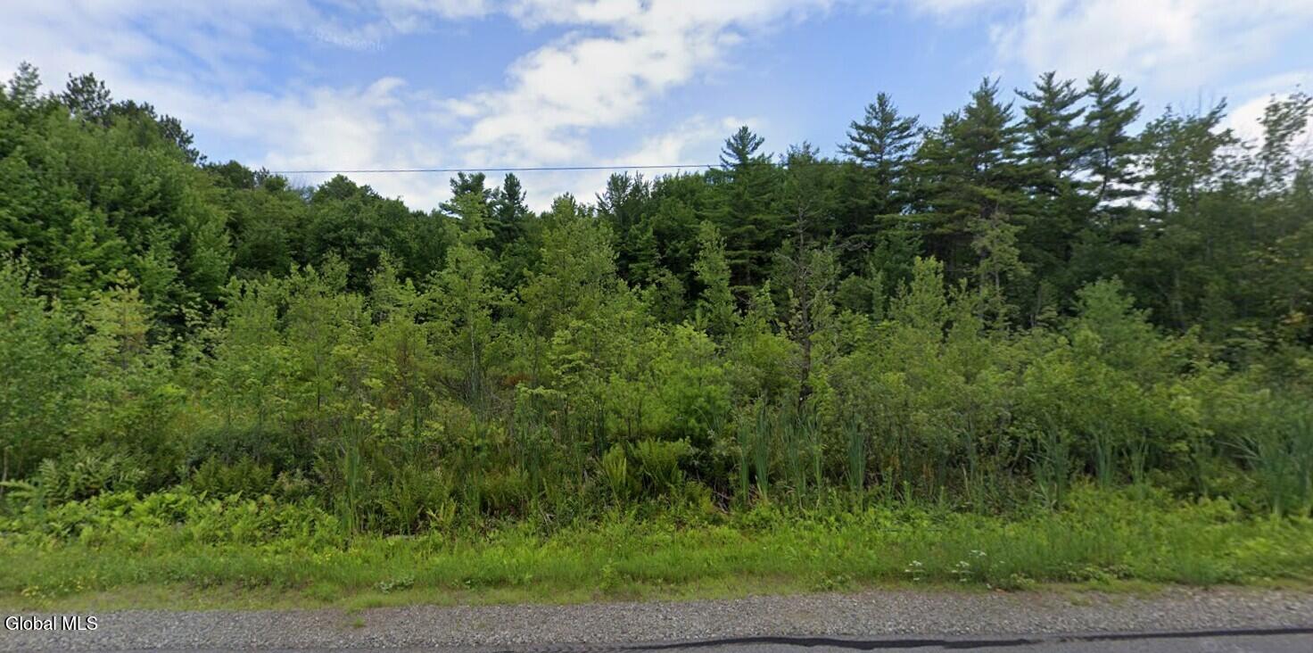 50 Lincoln Mountain Road Corinth, NY 12822 - Photo 2 of 13 50 Lincoln Mountain Road