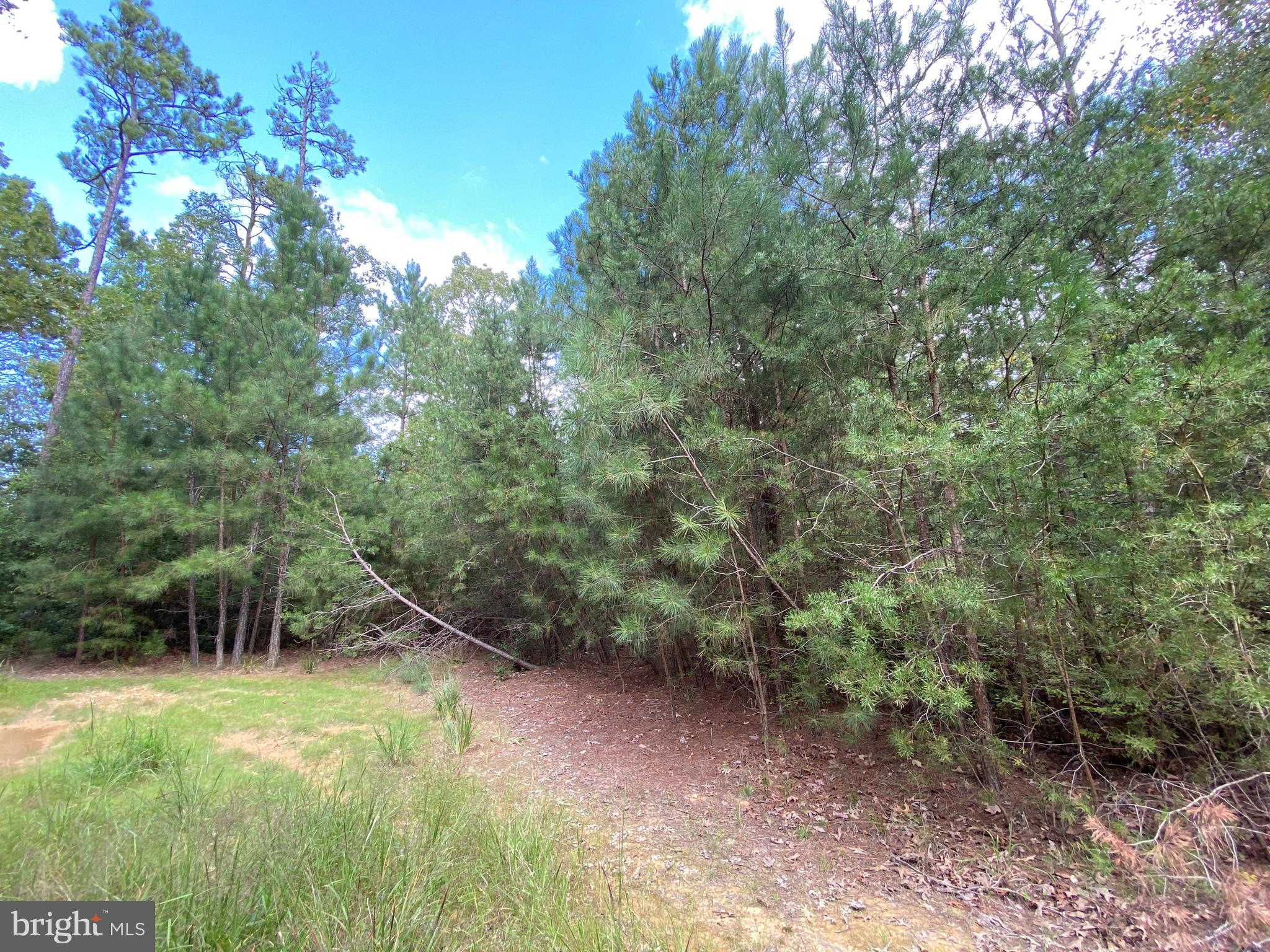 35-81b Old Parsons Road King George, VA 22485 - Photo 6 of 18