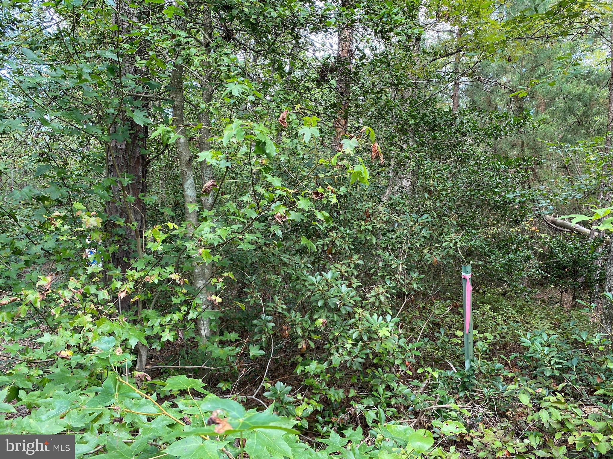 35-81b Old Parsons Road King George, VA 22485 - Photo 10 of 18 Property Marker