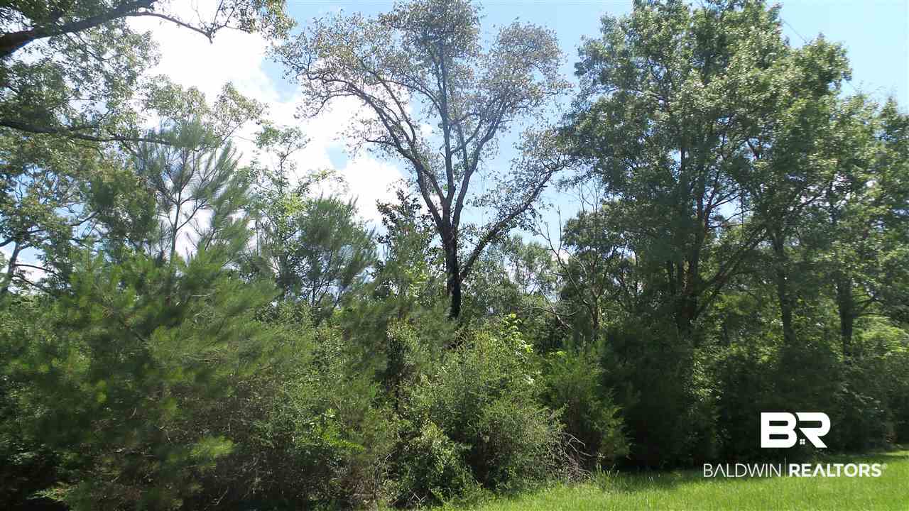 Deer Lake Road Walnut Hill, FL 32568 - Photo 13 of 22 Gallery Image 13
