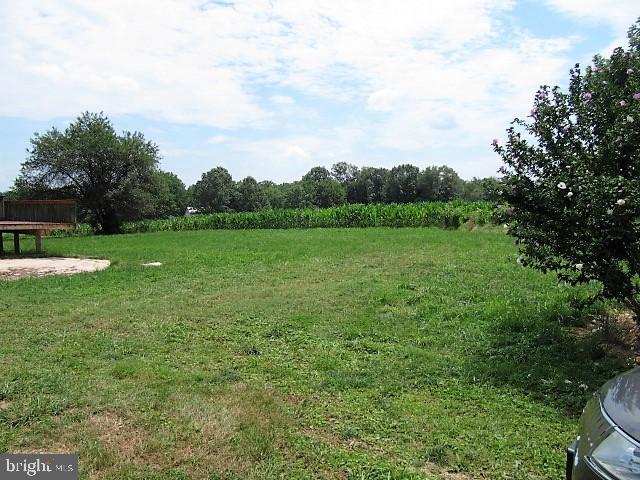 807 Fish And Game Road Littlestown, PA 17340 - Photo 8 of 50 Back yard
