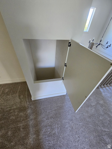 812 East Bates Cyn Road Tooele, UT 84074 - Photo 63 of 144 Built-in under-stair storage with an open door, showcasing the interior space