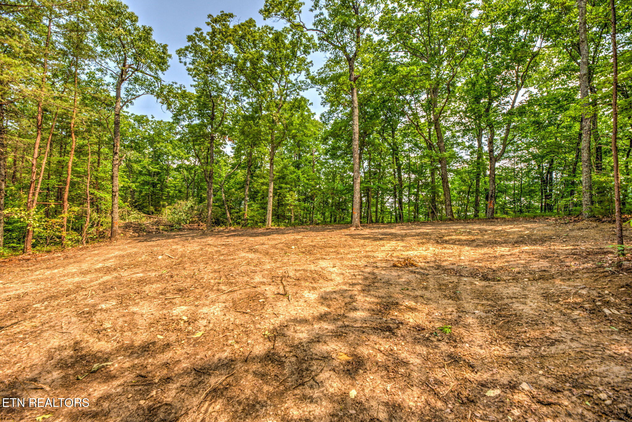 Chilly Springs Road Maryville, TN 37803 - Photo 11 of 13 11-web-or-mls-DSC_3850_1_2