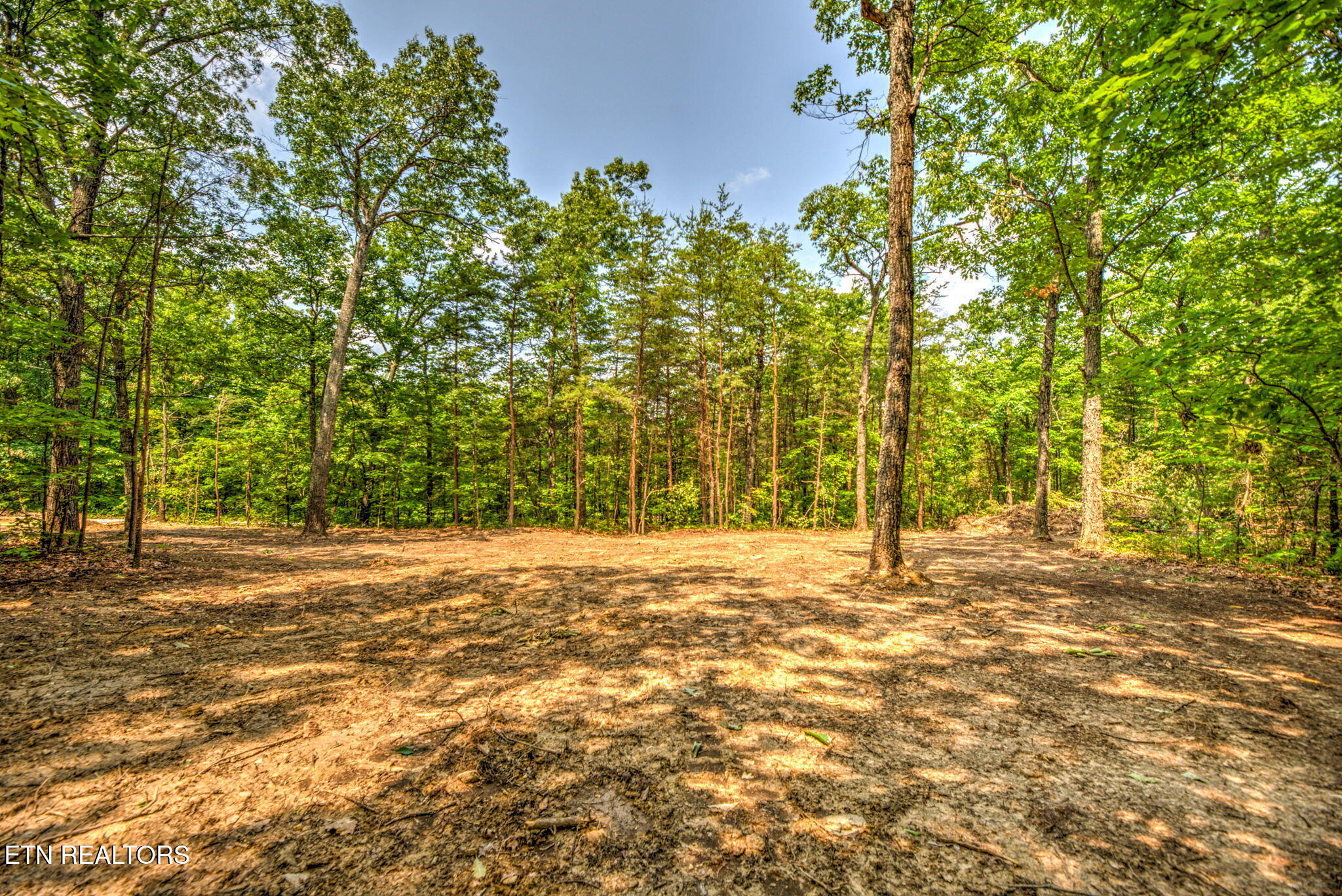 Chilly Springs Road Maryville, TN 37803 - Photo 12 of 13 12-web-or-mls-DSC_3853_4_5