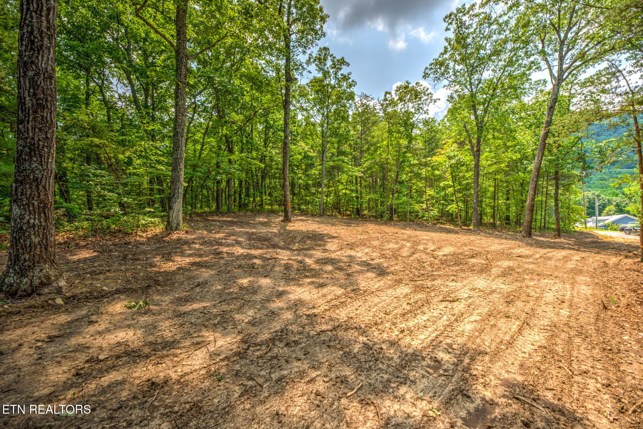 Chilly Springs Road Maryville, TN 37803 - Photo 13 of 13 13-web-or-mls-DSC_3856_7_8
