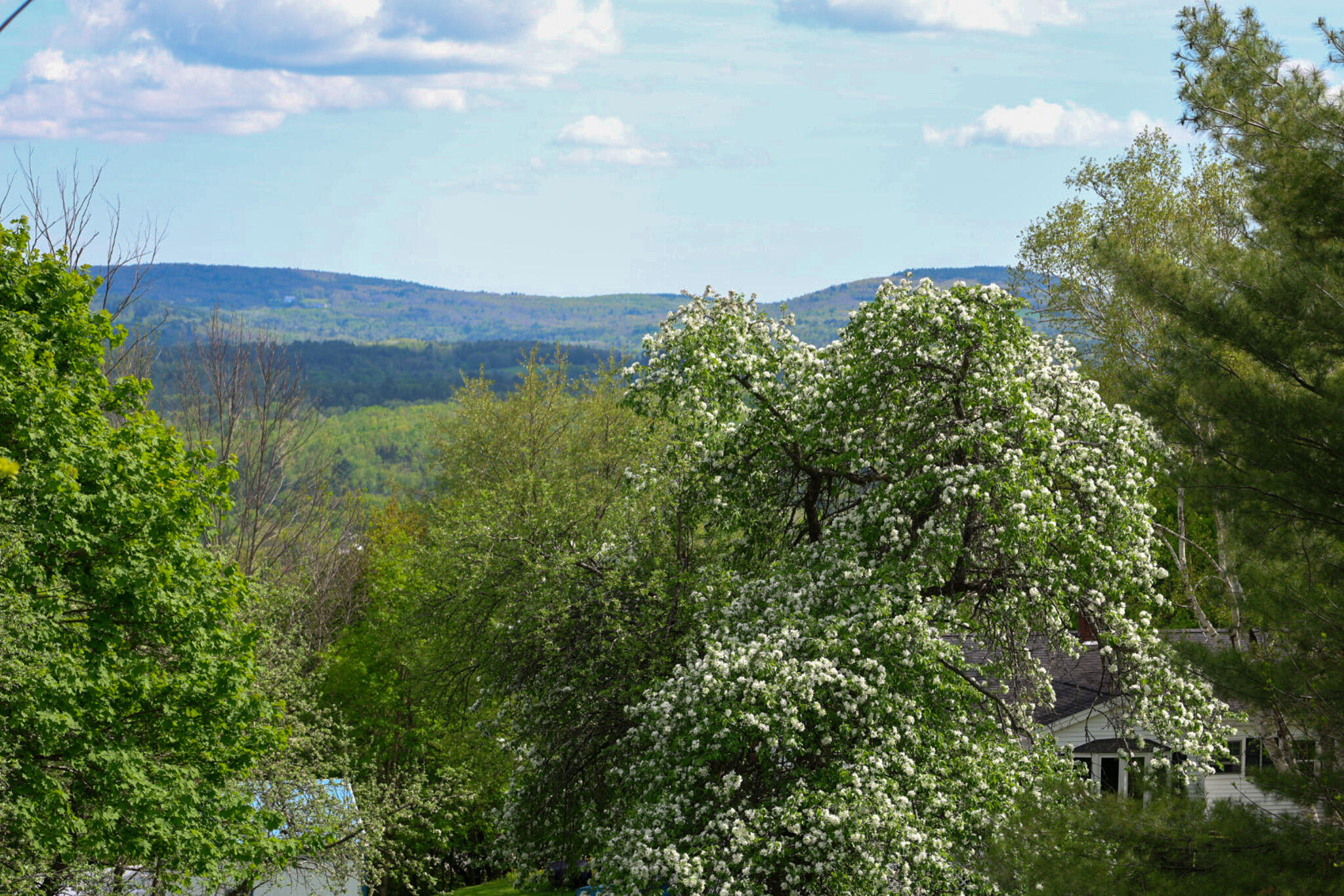 239 Temple Road Wilton, ME 04294 - Photo 24 of 120 20250516143646_J83A0436