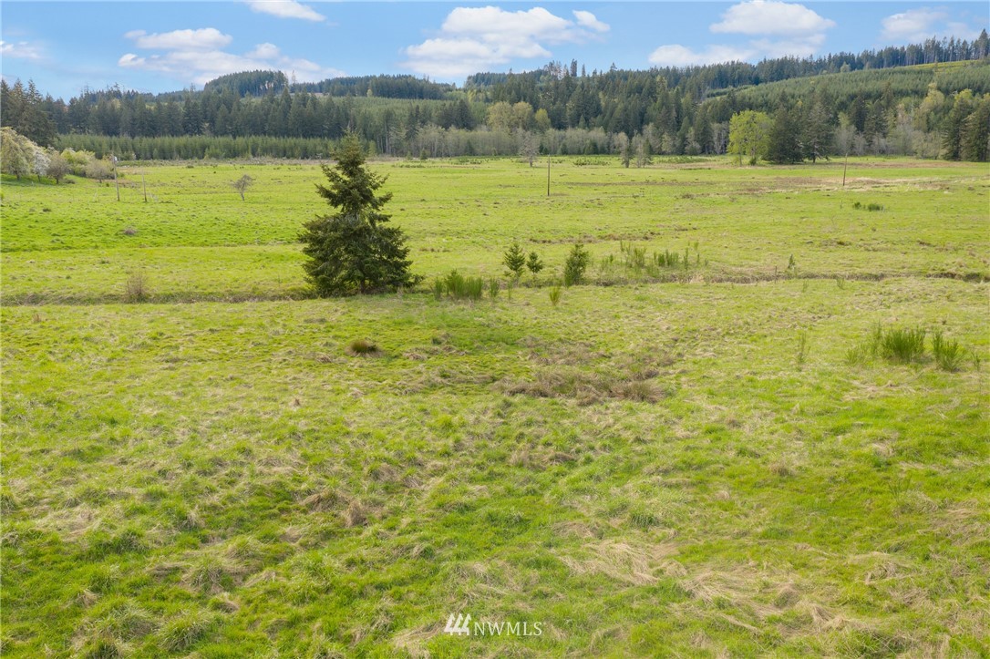 193 Ploegman Road Chehalis, WA 98532 - Photo 21 of 31