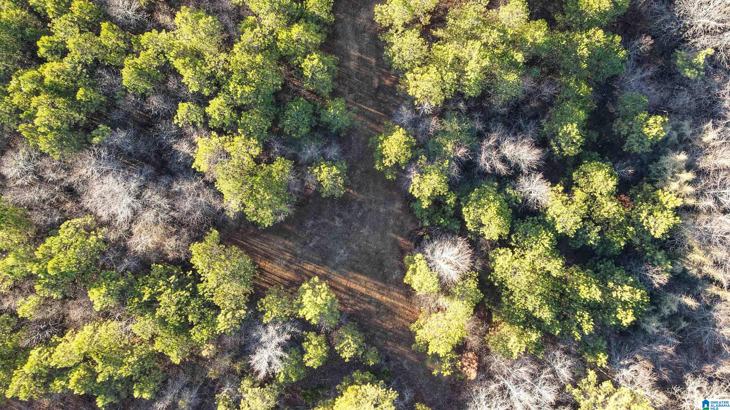 29 Highway Hamilton Al, Unit 1 Hamilton, AL 35570 - Photo 28 of 55