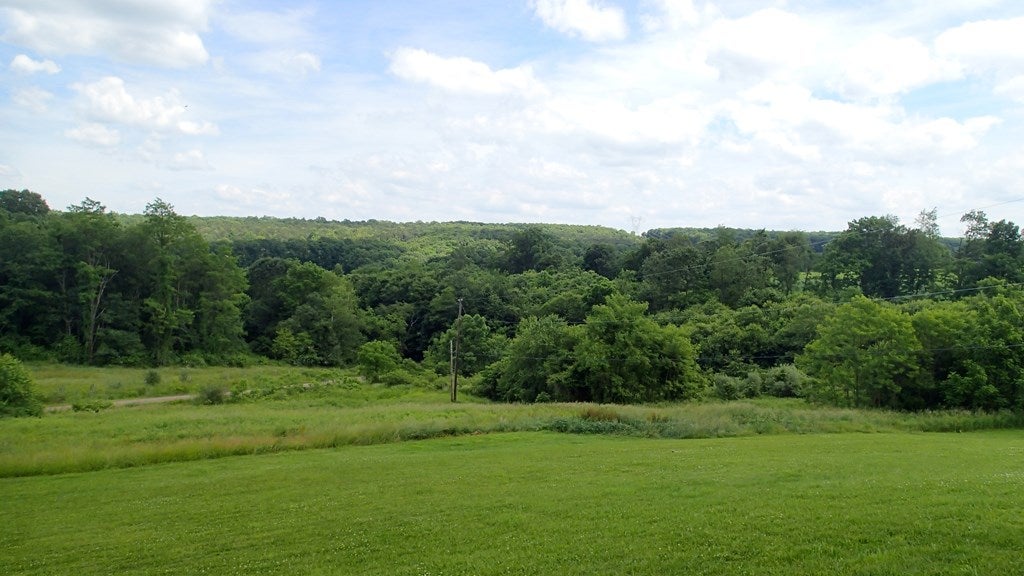 21004 Shore Valley Road Three Springs, PA 17264 - Photo 38 of 48 Gallery Image 38