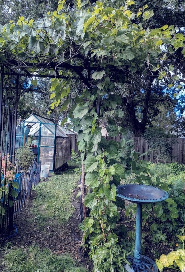 34 S Terrace North Fargo, ND 58102 - Photo 53 of 59