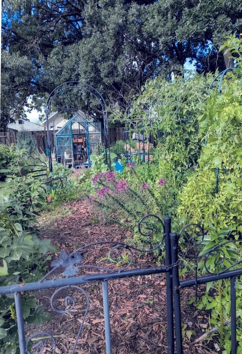 34 S Terrace North Fargo, ND 58102 - Photo 54 of 59