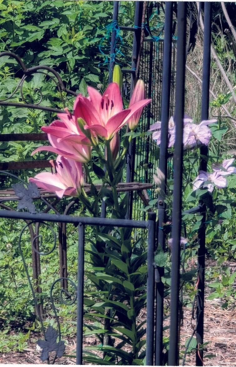 34 S Terrace North Fargo, ND 58102 - Photo 57 of 59