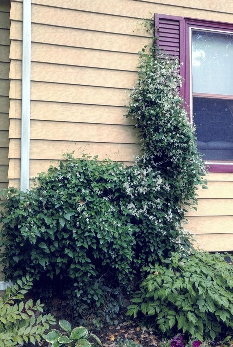 34 S Terrace North Fargo, ND 58102 - Photo 58 of 59