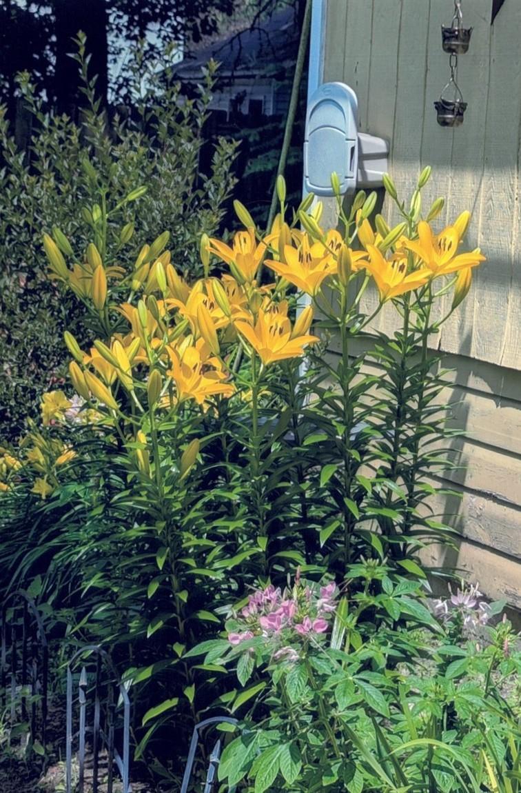 34 S Terrace North Fargo, ND 58102 - Photo 59 of 59