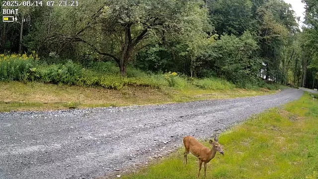 $325,000 | 9768 Vt Route 36, East Fairfield, VT 05448