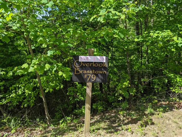 $10,000 | Tbd Heritage Trail, Brasstown, NC 28902