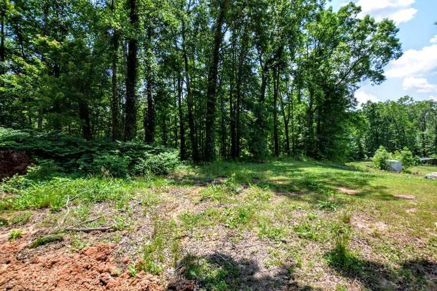 799 Roddy Road Spring City, TN 37381 - Photo 2 of 7 20192838-1