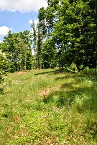 799 Roddy Road Spring City, TN 37381 - Photo 7 of 7 20192838-6