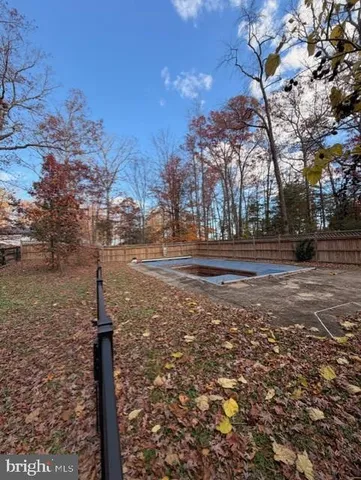 a street view with large trees