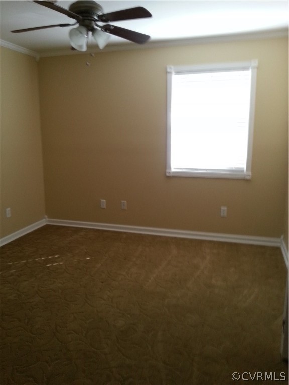 20200 Ann Road Sutherland, VA 23885 - Photo 10 of 14 Gallery Image 10