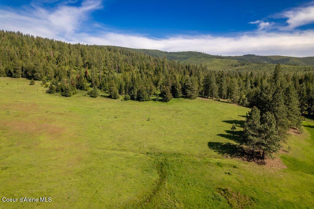 Nka Waddell Road St. Maries, ID 83861 - Photo 7 of 22 007-nkanextto1312WaddellRoad-SaintMaries