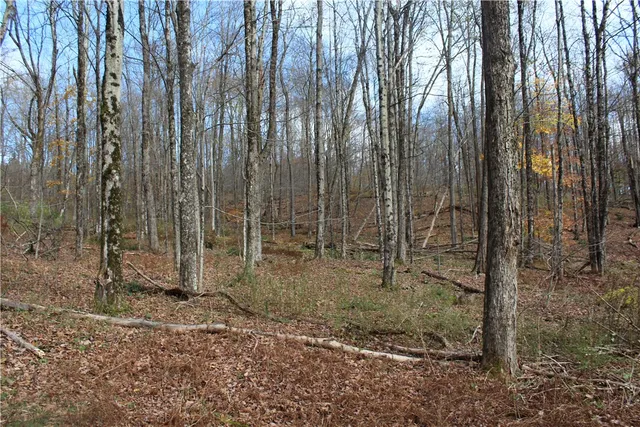 $32,500 | Poolbrook Road, Mount Vision, NY 13810