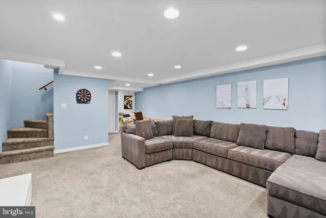 a view of a park with large trees