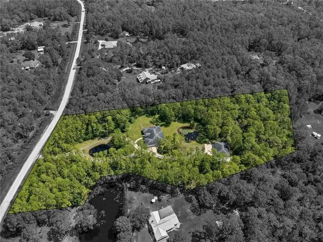 a plant that is in a garden