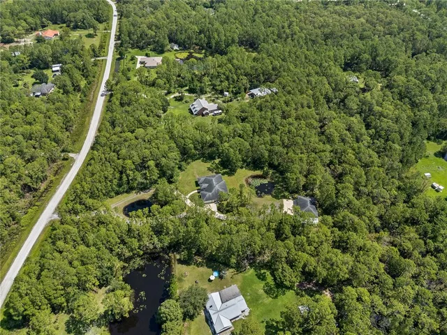 a view of a garden with plants