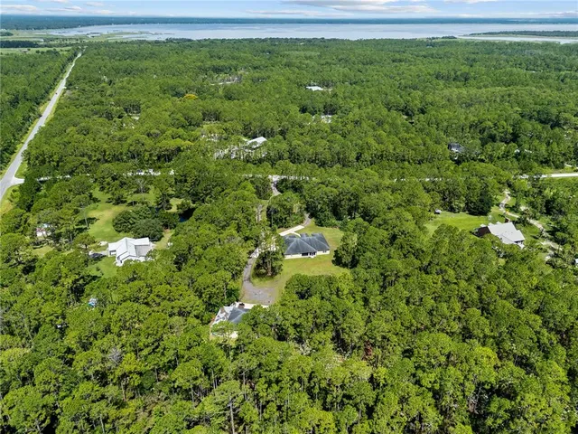 a view of a lush green forest