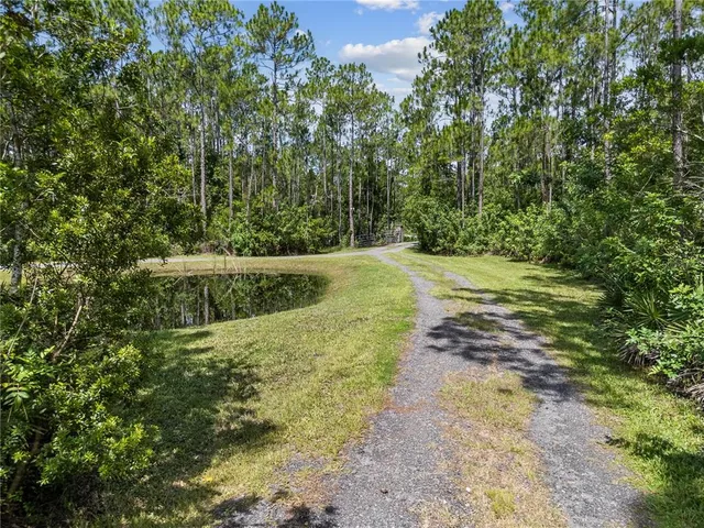 a view of a garden with a bench under an umbrella