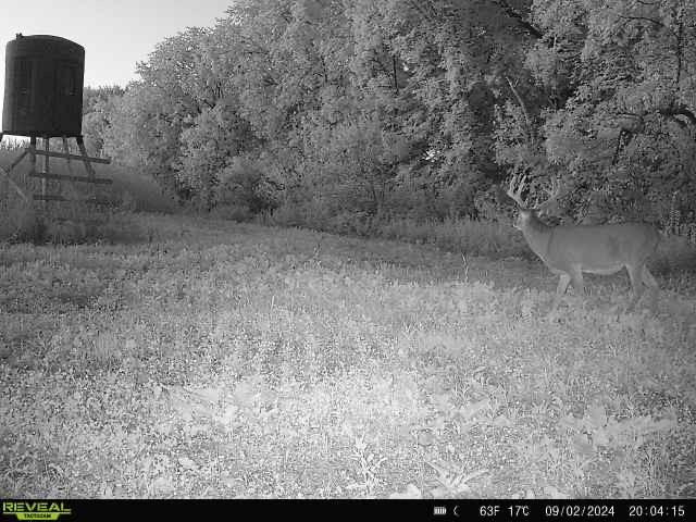 Xx Xx Simons Road Mondovi, WI 54755 - Photo 40 of 45