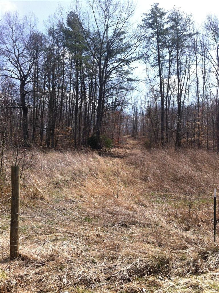 1 Pergram Road Owingsville, KY 40360 - Photo 2 of 2 Photo 2
