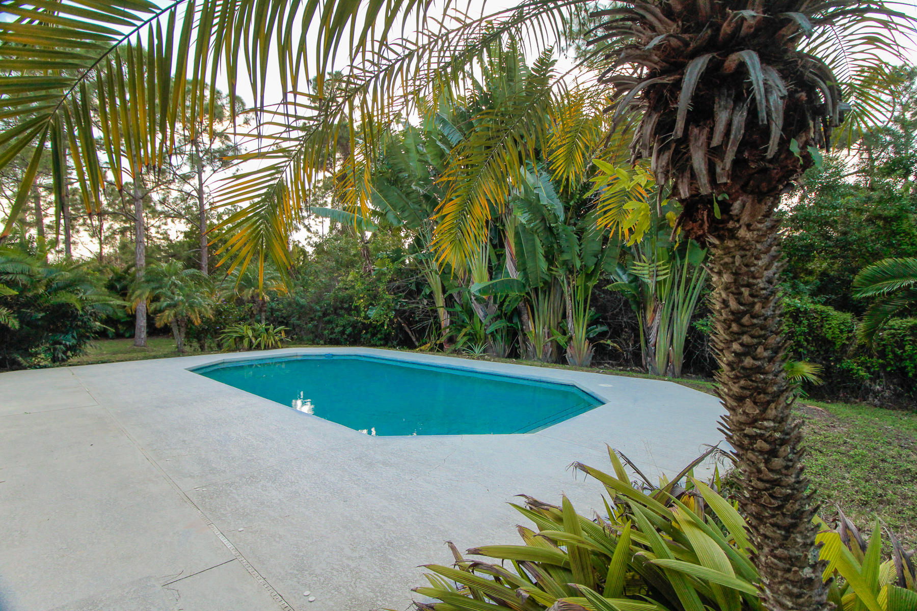 13580 Southeast Ranchland Road Hobe Sound, FL 33455 - Photo 12 of 52 Pool View