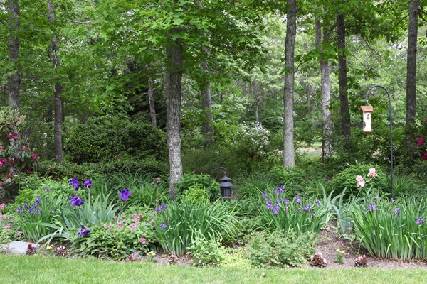 29 Bourne Hay Road Sandwich, MA 02563 - Photo 27 of 30 Gallery Image 27