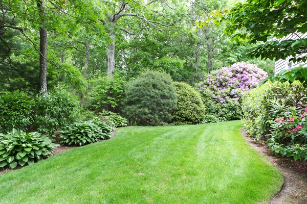 29 Bourne Hay Road Sandwich, MA 02563 - Photo 28 of 30 Gallery Image 28