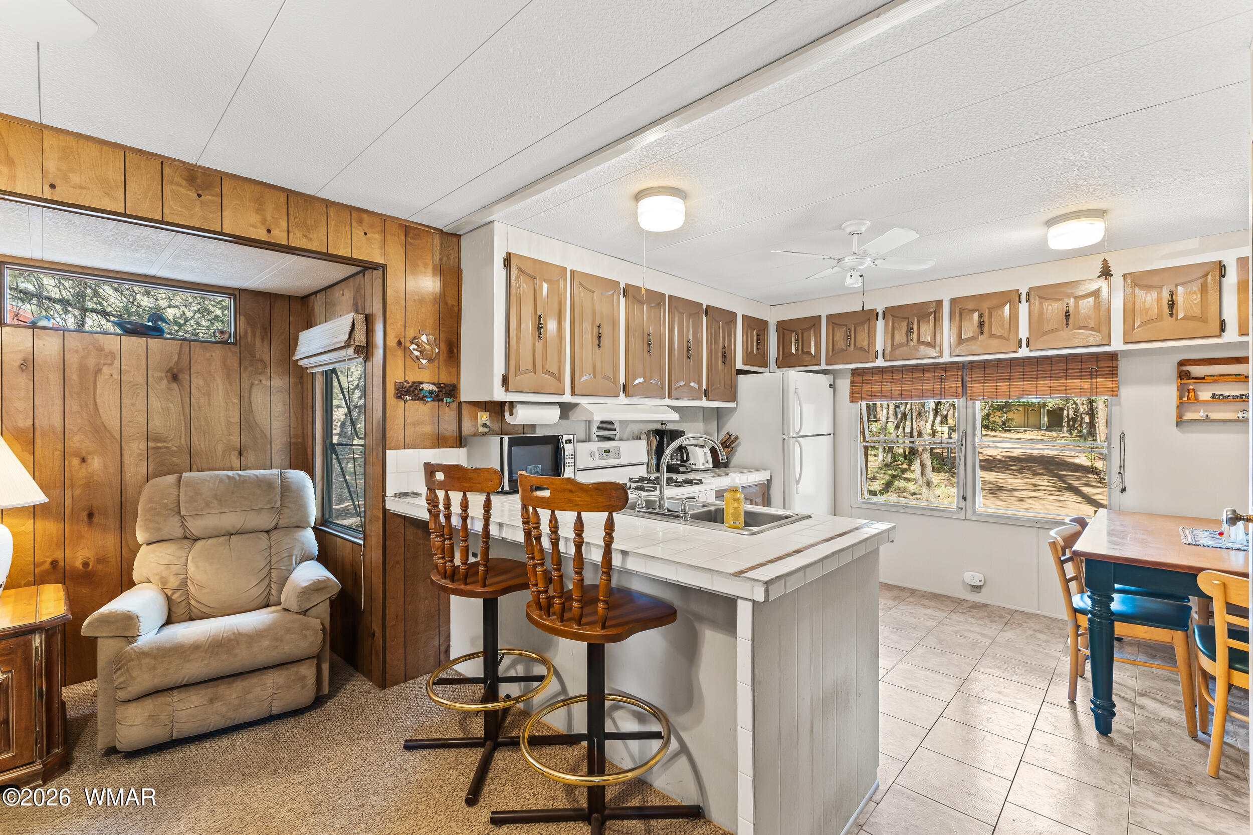 6448 Lower Ridge Drive Lakeside, AZ 85929 - Photo 6 of 19