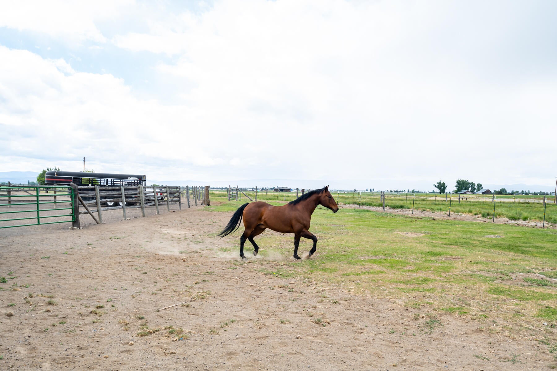 63520 Johnson Ranch Road Bend, OR 97701 - Photo 27 of 52 Horse